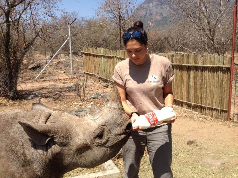 While studying, Claire travelled to South Africa and worked with a local vet and cared for animals at a rehabilitation centre